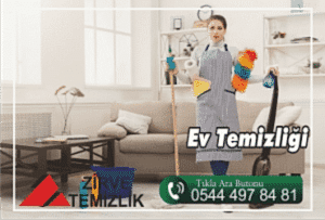 Ev Temizliği